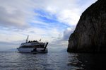 20090118_naplestrp_15_isola_di_capr